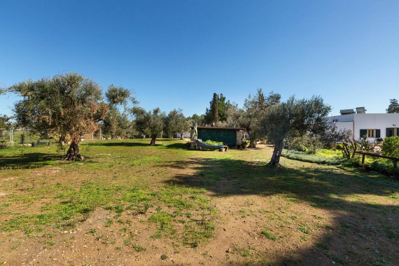 Villa Itaca Garden By Barbarhouse بورتو سيساريو المظهر الخارجي الصورة